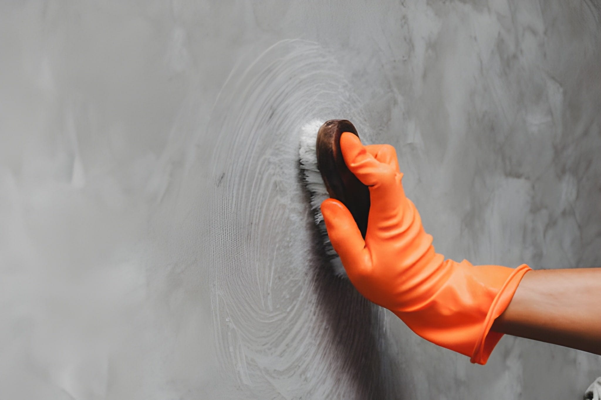 mold growth causes risks prevention