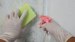 How to get rid of mold as advised by No More Chores