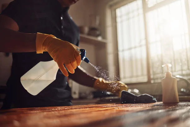 regular house cleaning toronto includes dusting of surface
