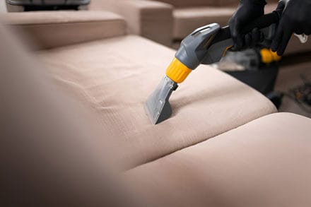 upholstery cleaning couch