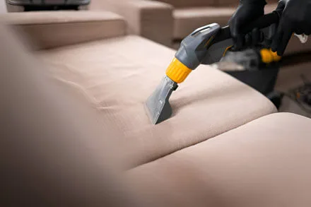 upholstery cleaning couch