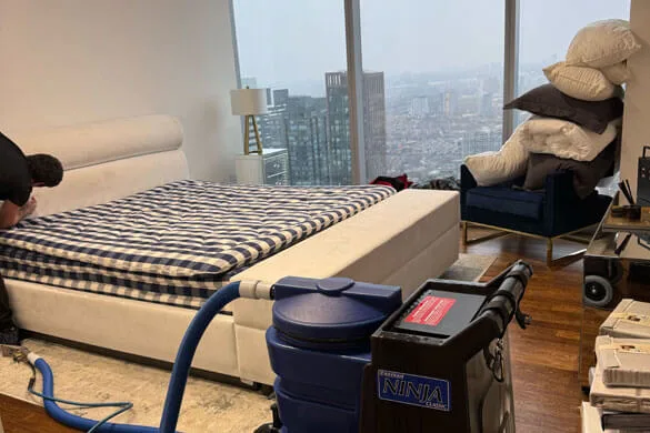 upholstery cleaning vacuum